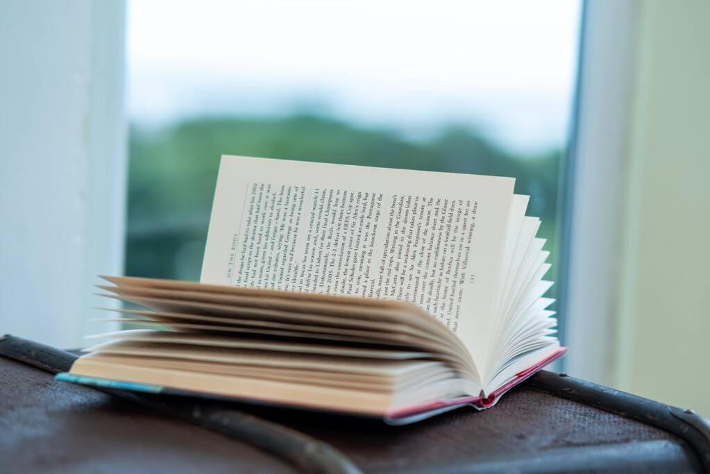 The Seaview - South Shields