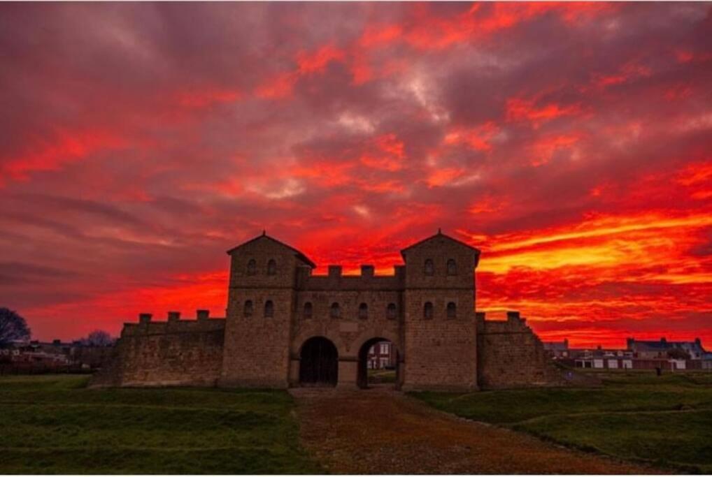 The Seaview - South Shields