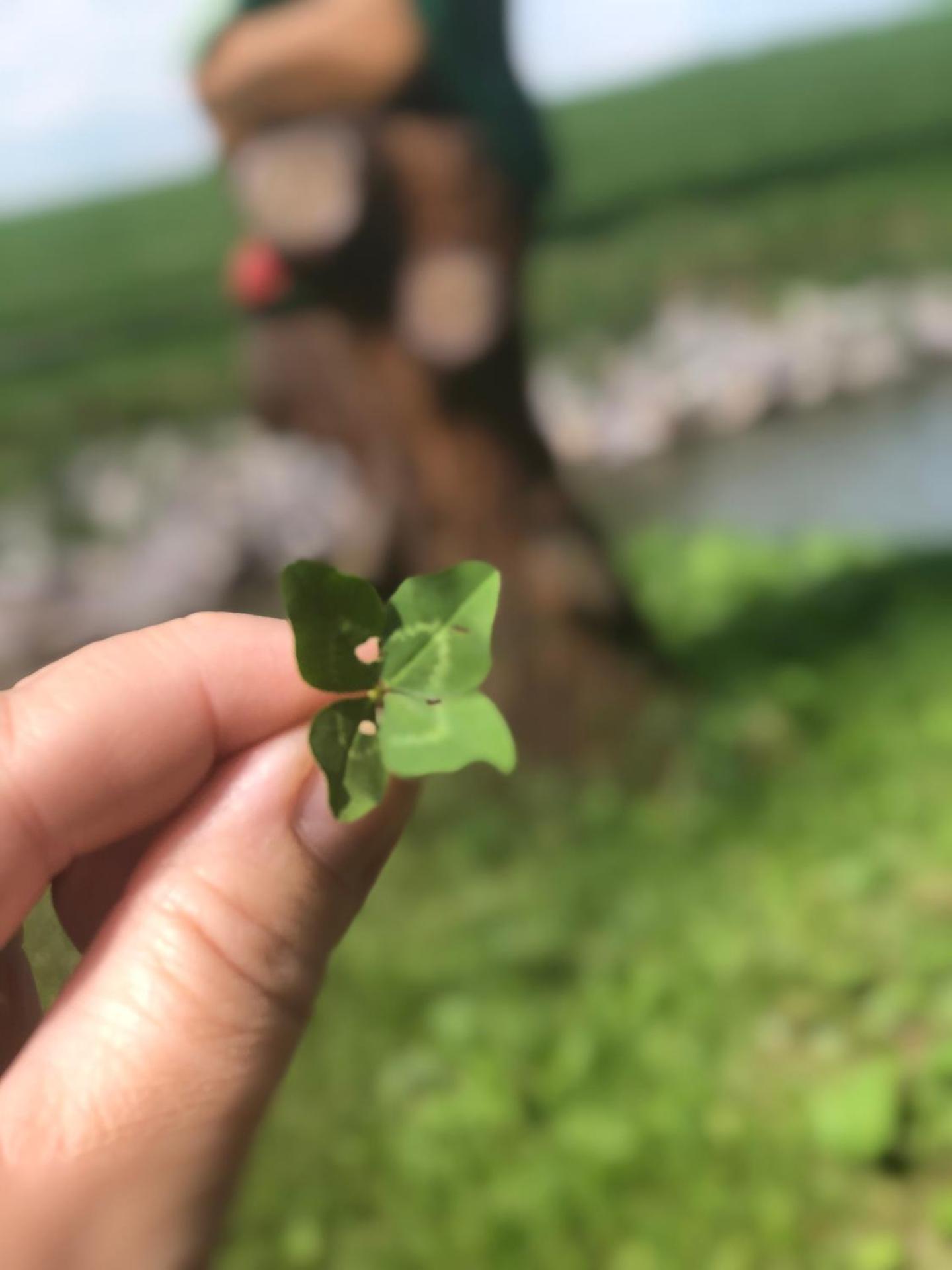 r E L L A x Studia Chvalovice Hatě na Greenway Praha-Wien