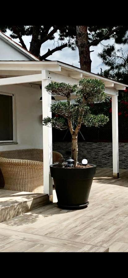 Lovely house near the beach