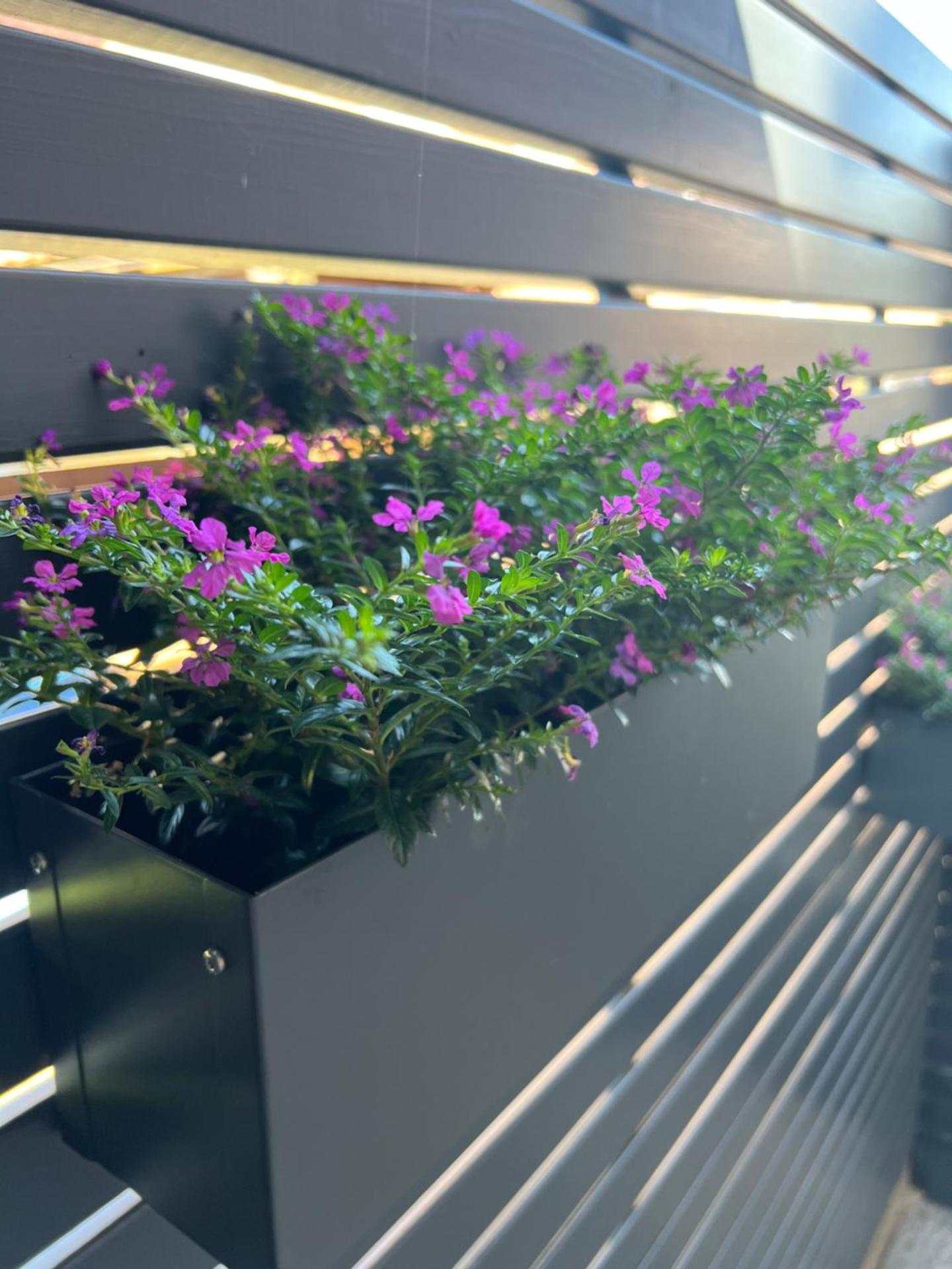 Inner courtyard view