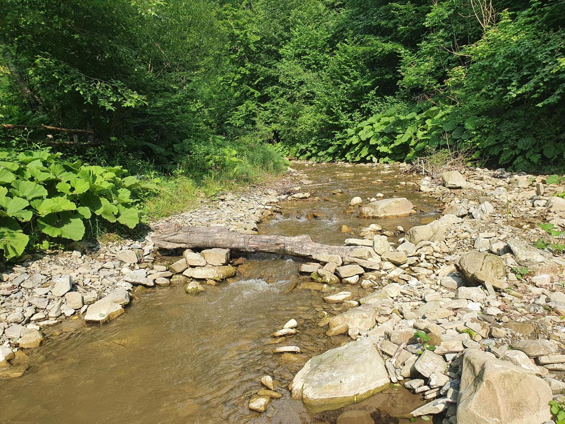 Forest House Doftana