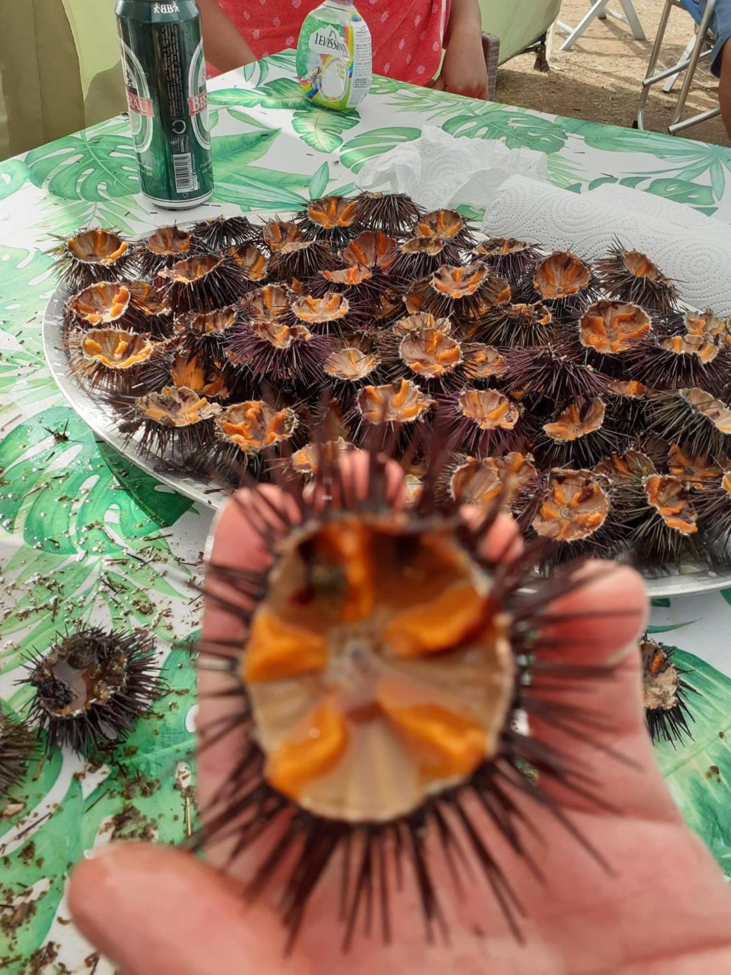 Holiday House Monalisa