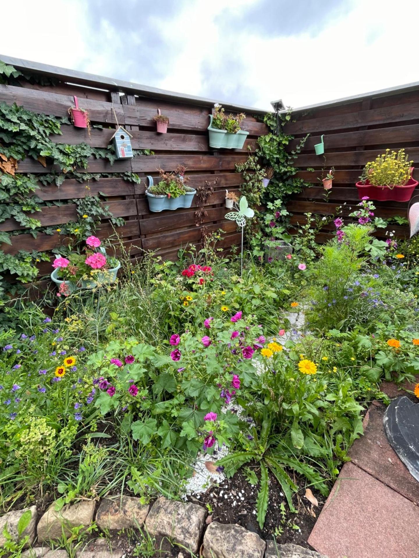 Apartment im Pfälzerwald