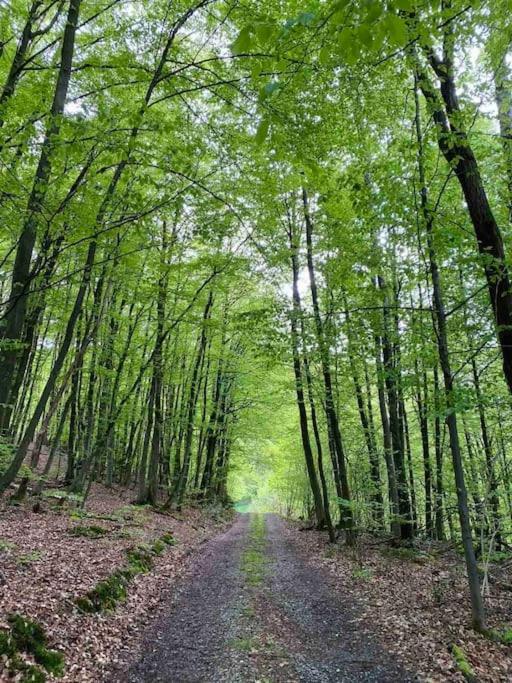 Märchenhafte FeWo White auf dem Berg im Sauerland