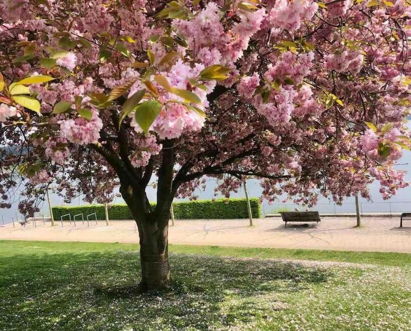 Märchenhafte FeWo White auf dem Berg im Sauerland