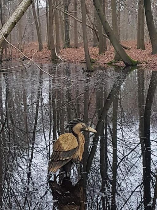 Maison Raymond - Vakantiehuisje met houtgestookte sauna