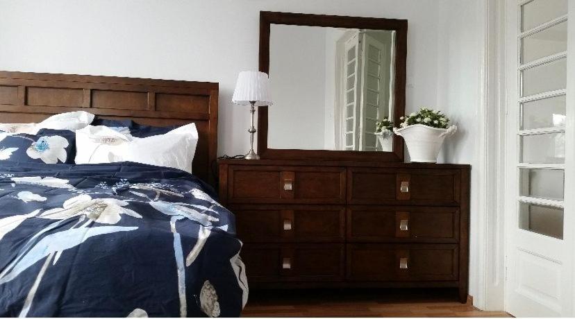 Central appartment - heart of Bucharest - sector 1 - new renovated - open space