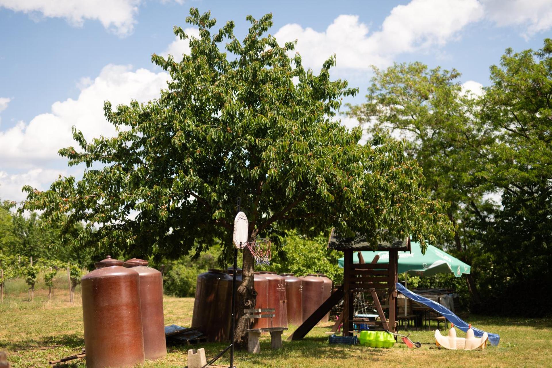 Children play ground