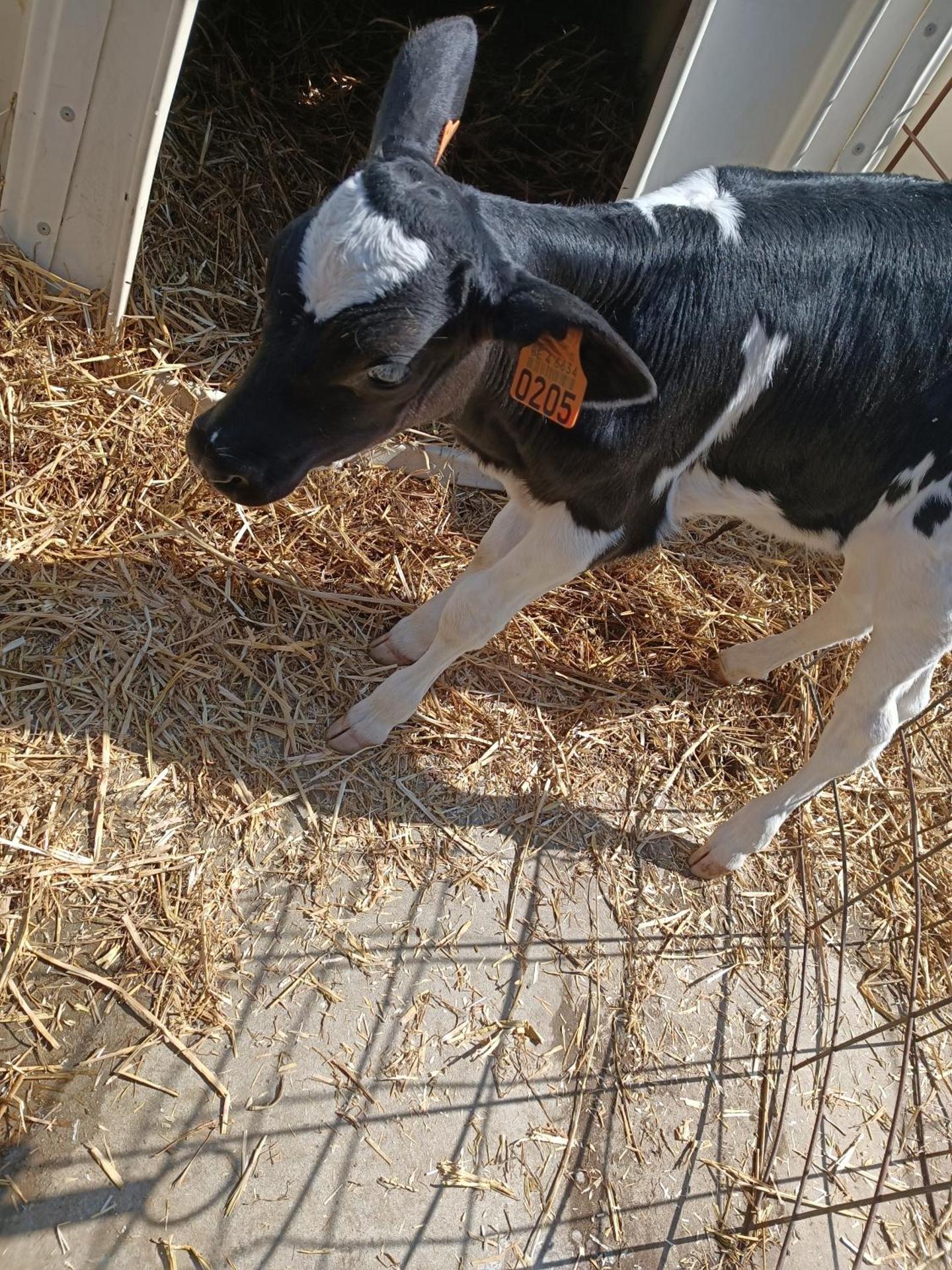 Gîte Ferme d'hurtaux