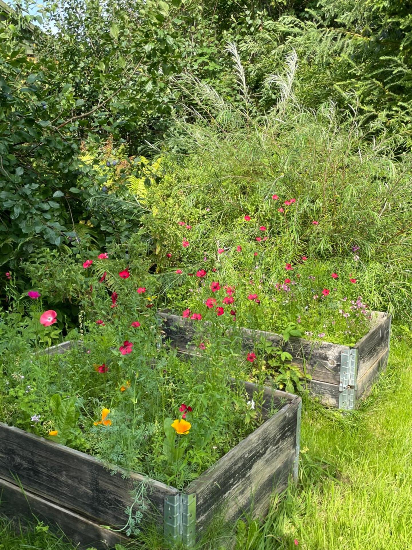 A true nature pearl in idyllic surroundings but close to the city