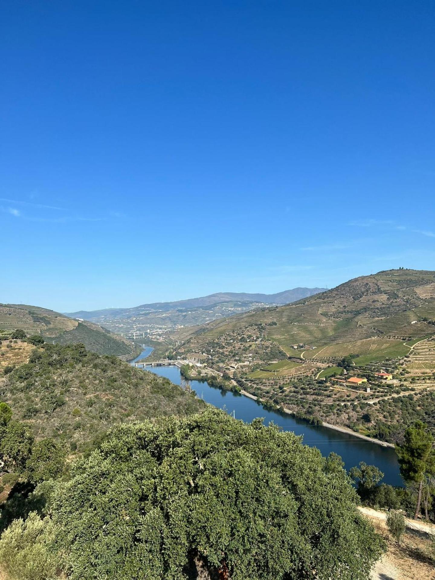 Quinta da Pinguinha - Douro