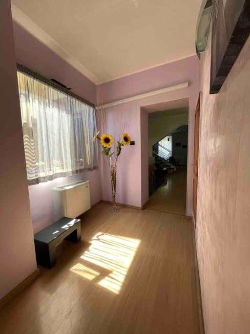 Appartamento Casa Armonia a Montefiascone