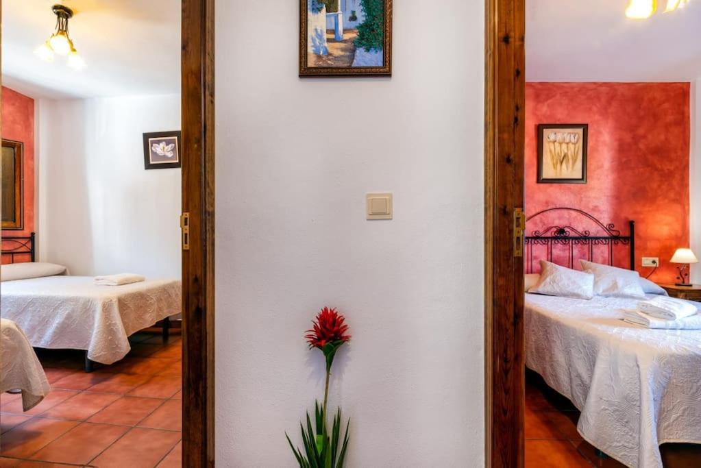 Casa Jose Capileira - Alpujarra