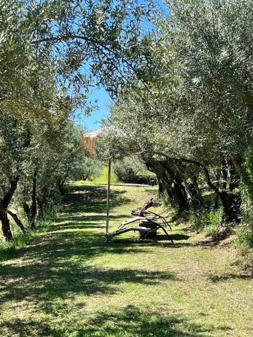 Isola del Pittore Fienile di Villa Storica