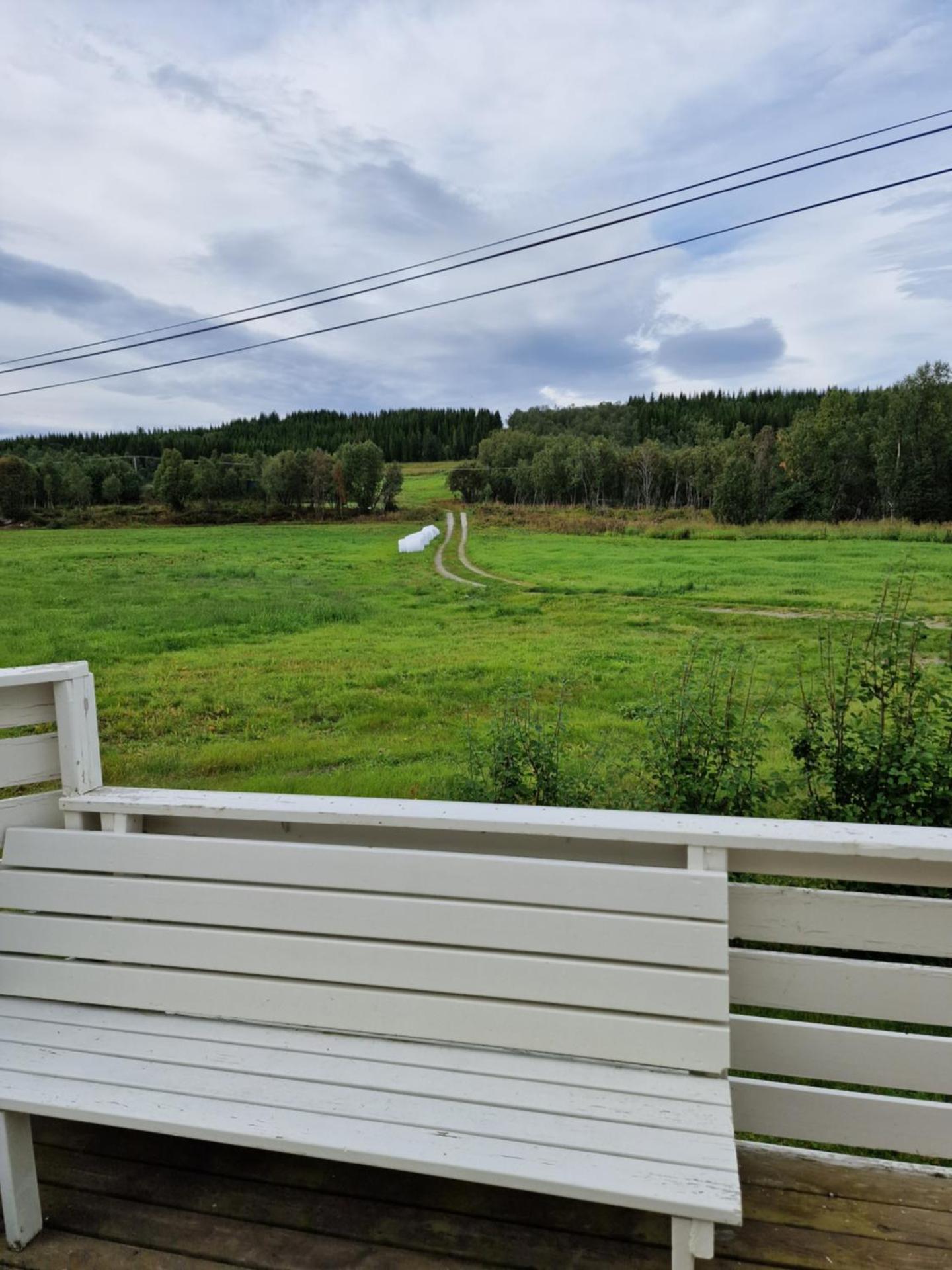 Warm and cozy cottage, Great location