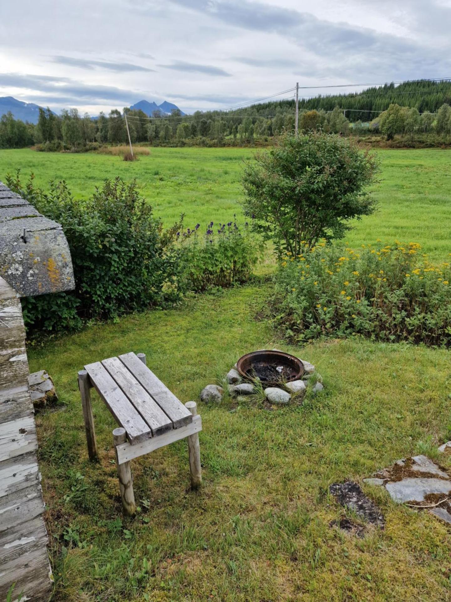 Warm and cozy cottage, Great location