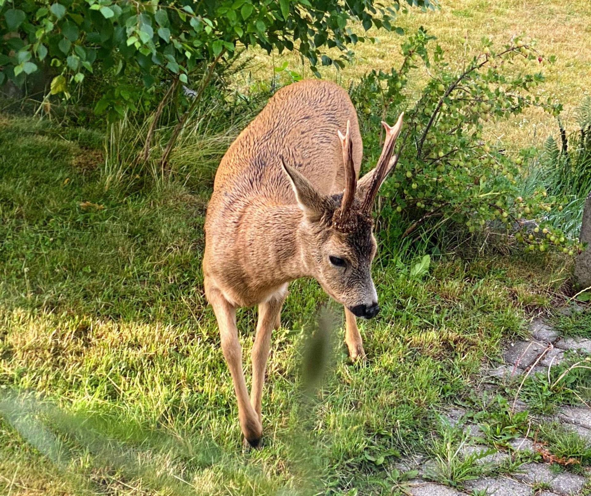 Apartment Near the Beach - Non-smoking