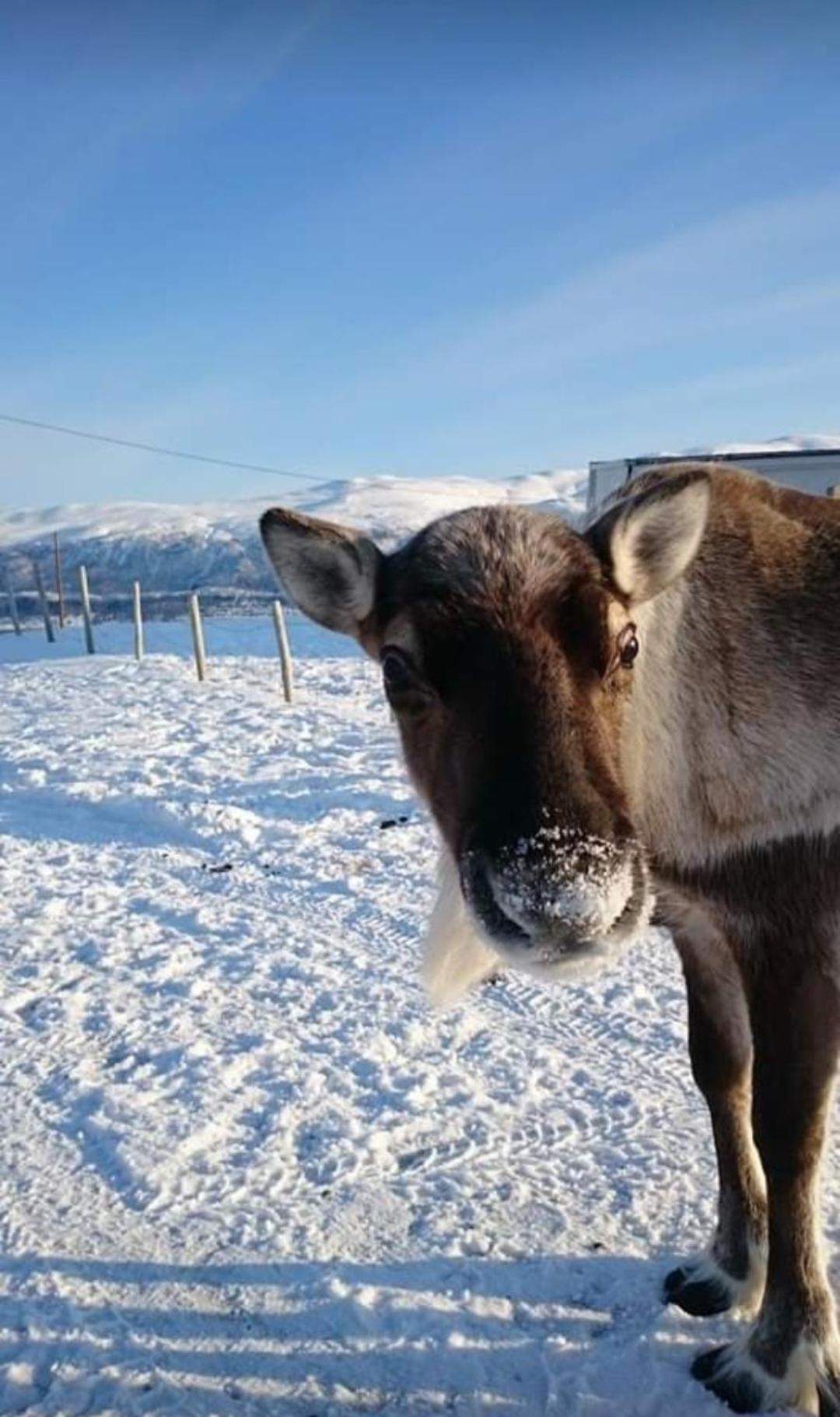 Warm and cozy cottage, Great location