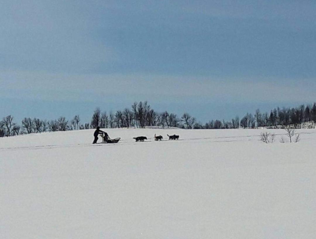 Warm and cozy cottage, Great location