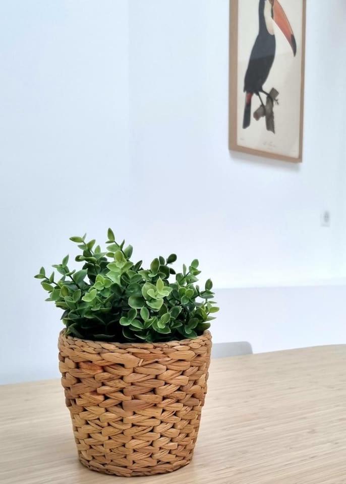 Victoire Opale 202 climatisé hôtel de ville