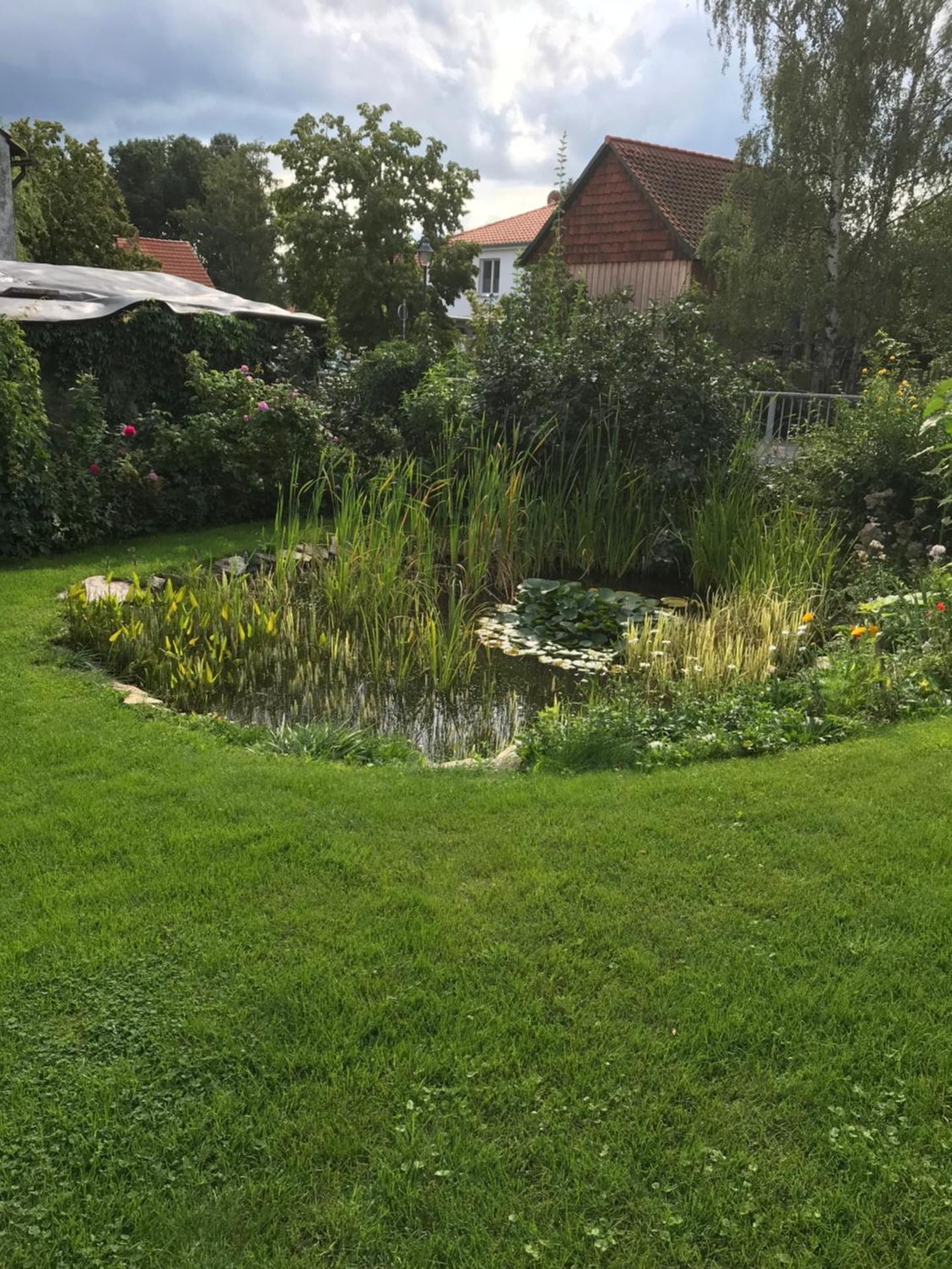 Schöne gemütliche Ferienwohnung mit Kamin II im Harz