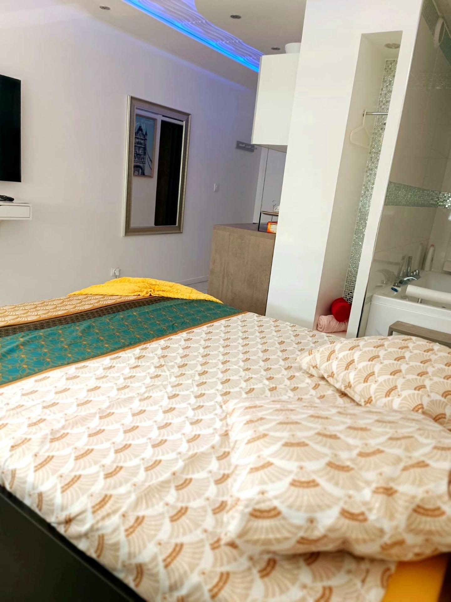 Bron centre appartement meublé avec jacuzzi