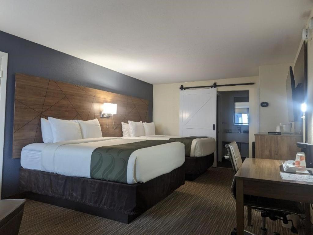 Queen Room with Two Queen Beds - Non-Smoking