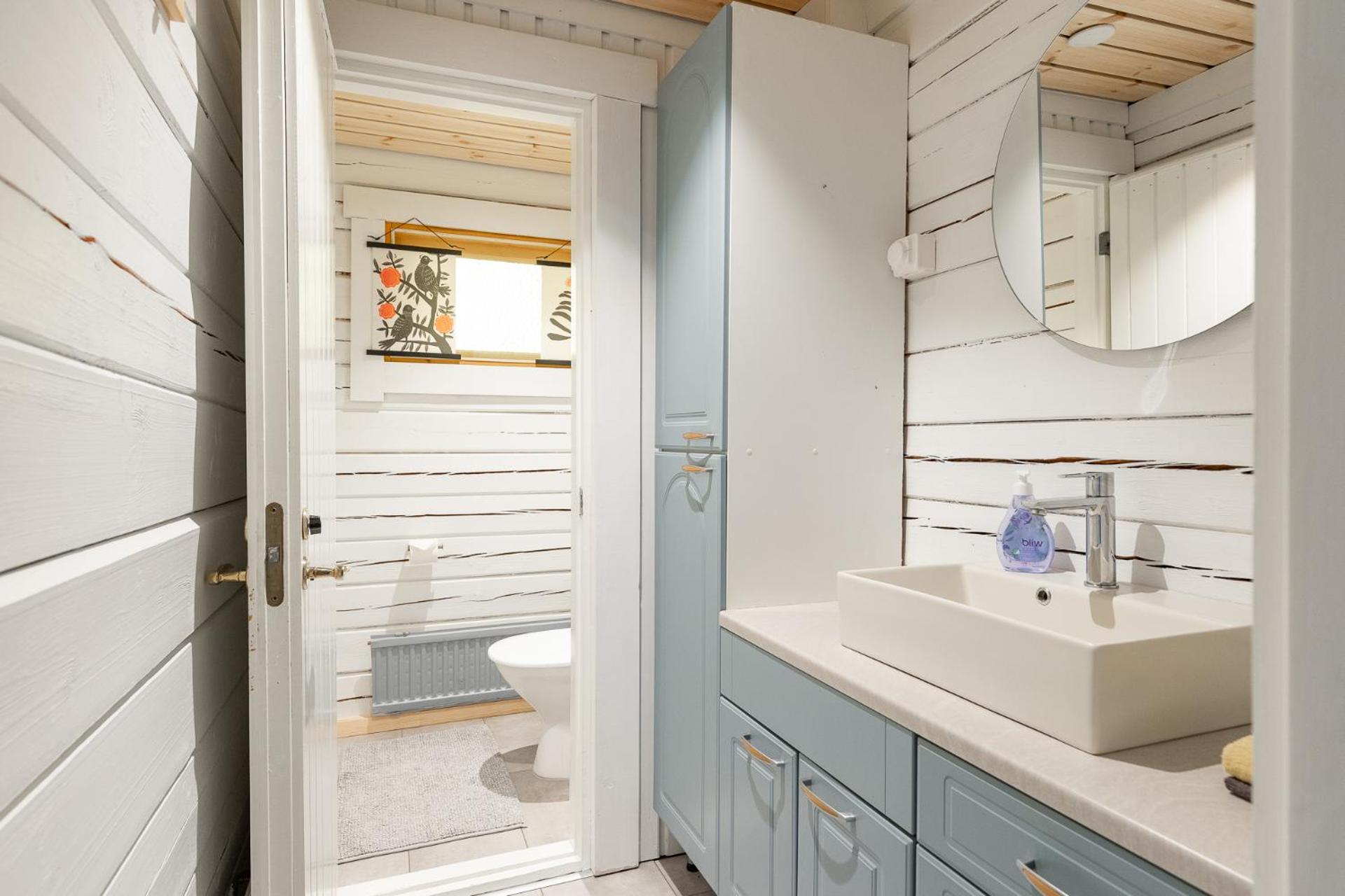 Hirsihuvila yksityisessä niemessä Petäjävedellä