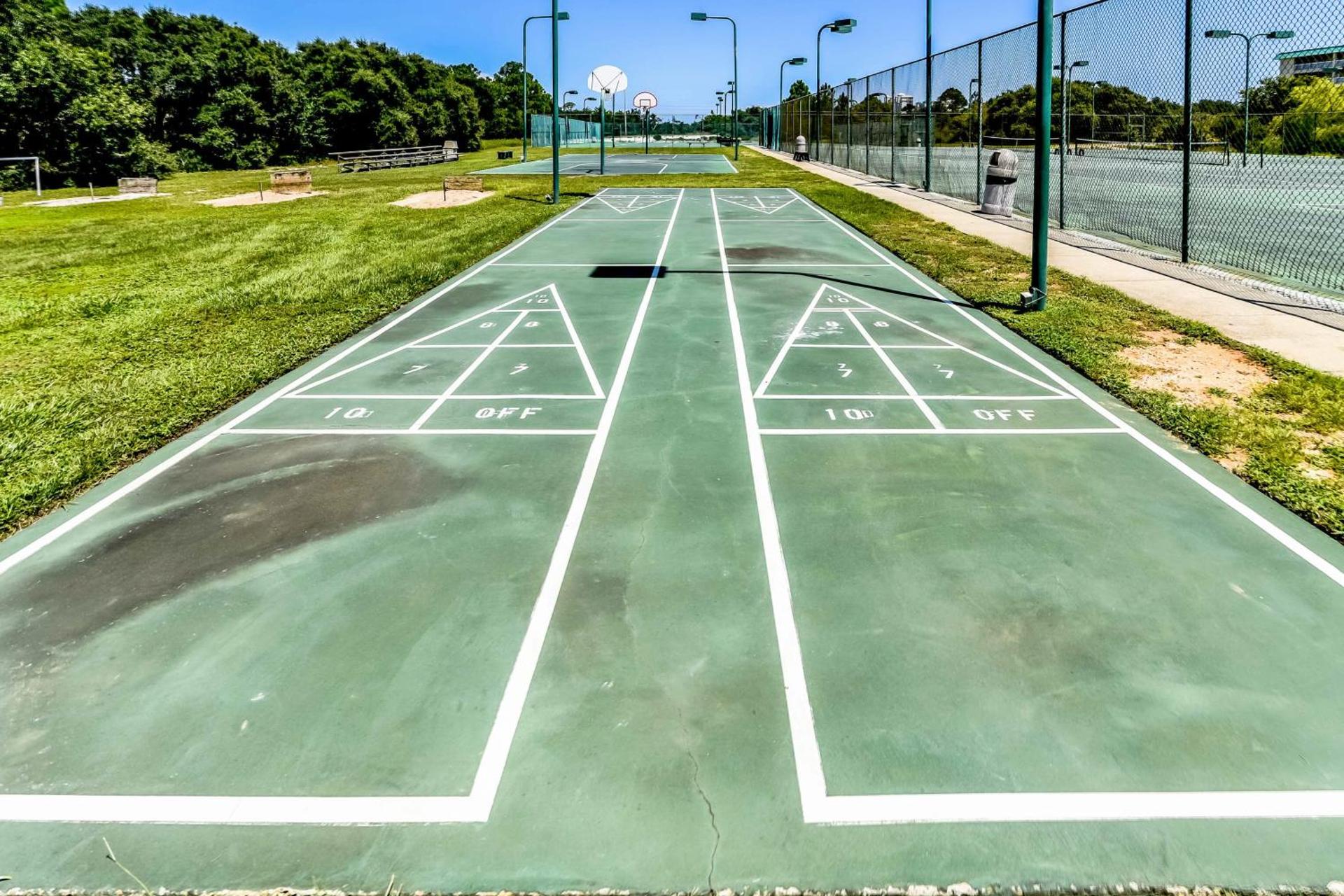 Plantation Palms #6606