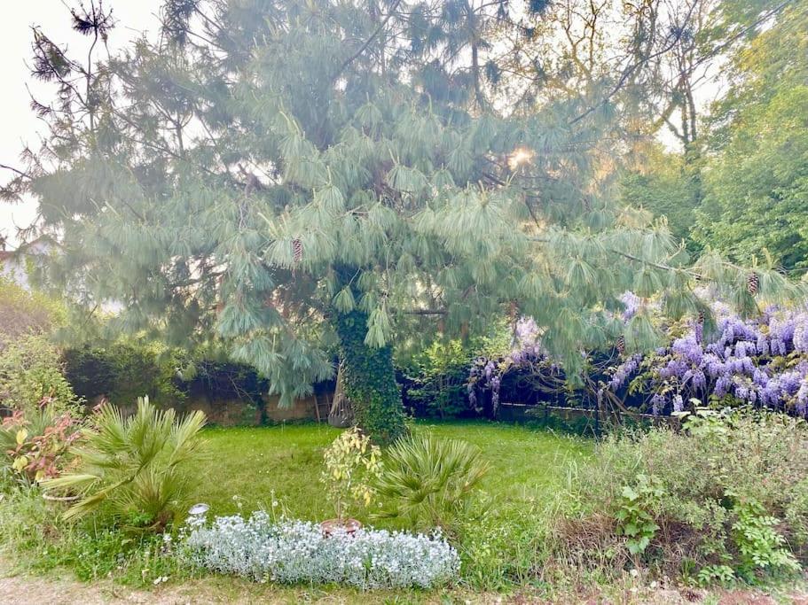 Charmant studio à Coutevroult