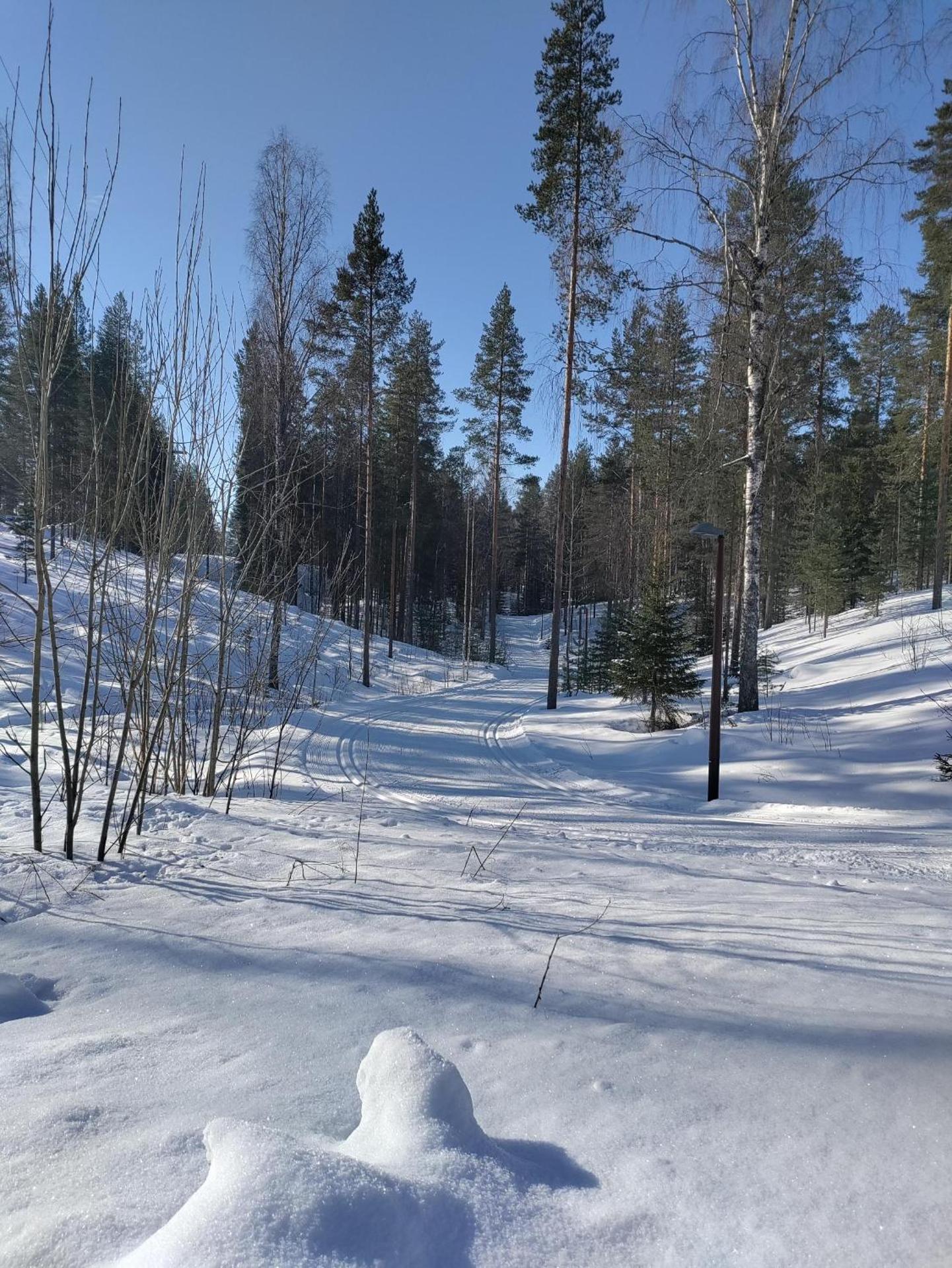 Saunaharju 5 järven rannalla