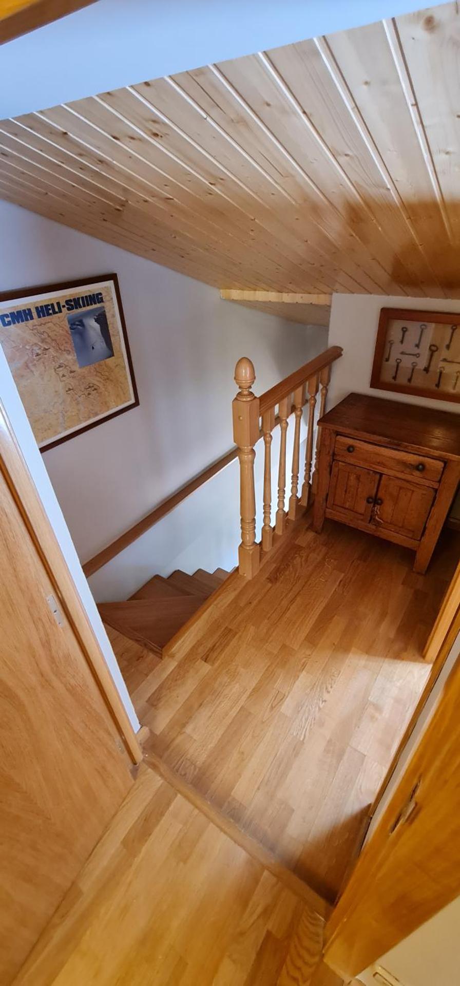 Salamandra Panticosa