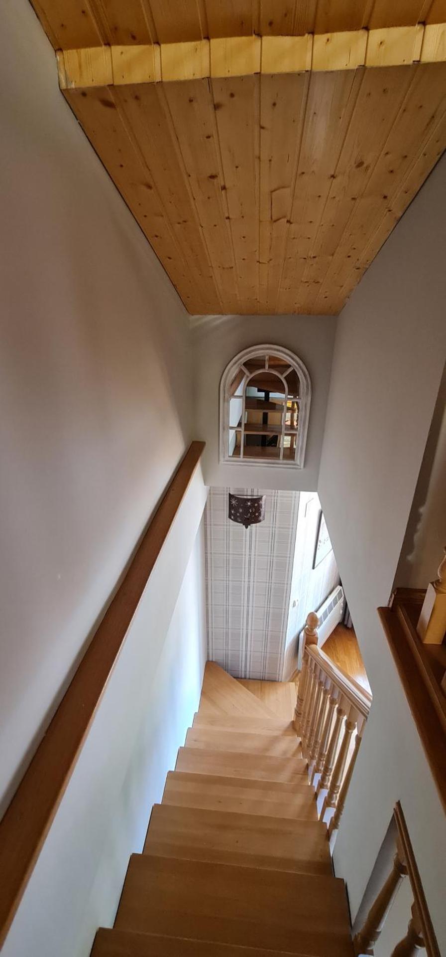 Salamandra Panticosa