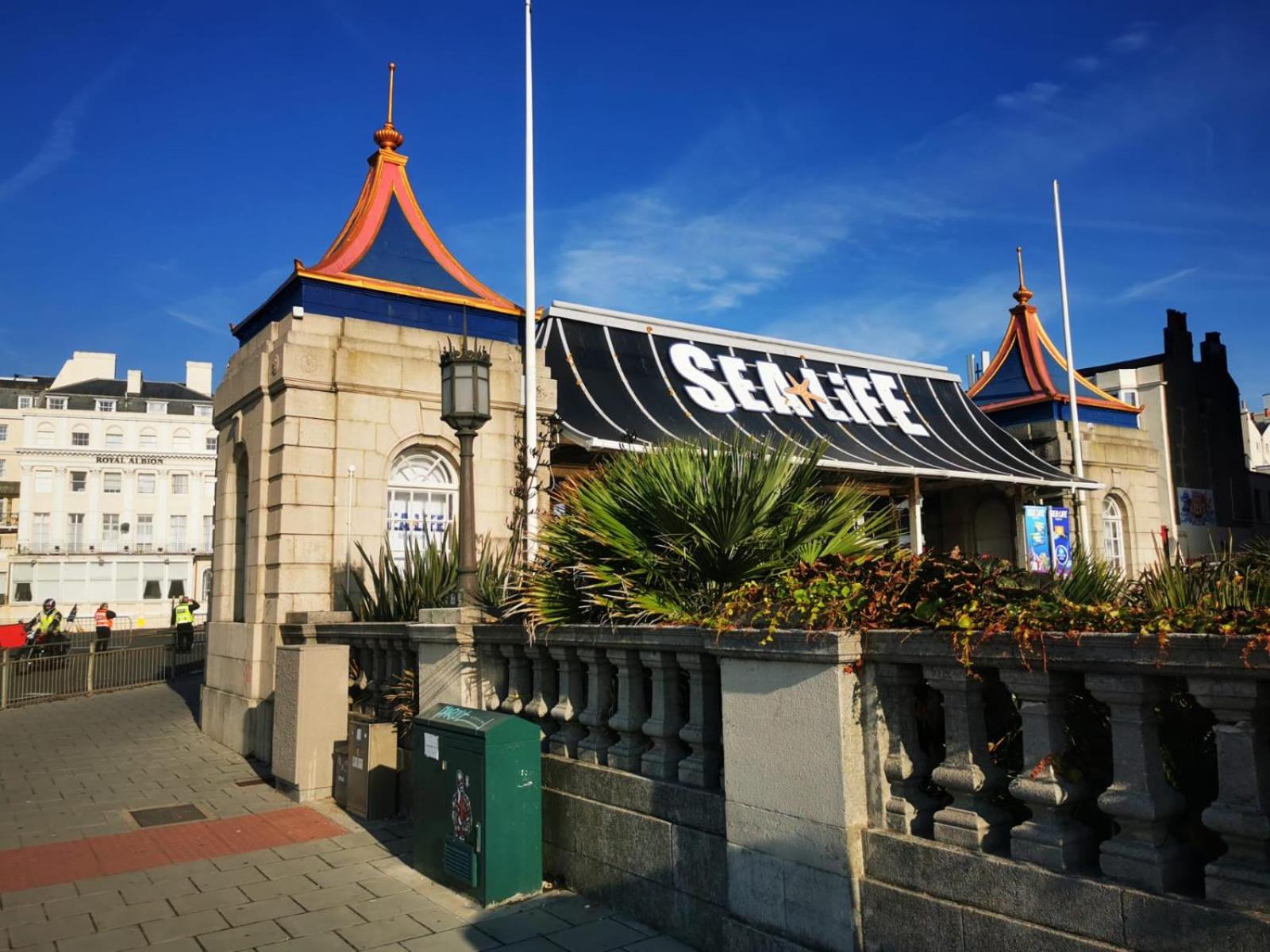 Luxury Apartment Brighton and South Downs National Park, Free Parking, animals on request daily fee