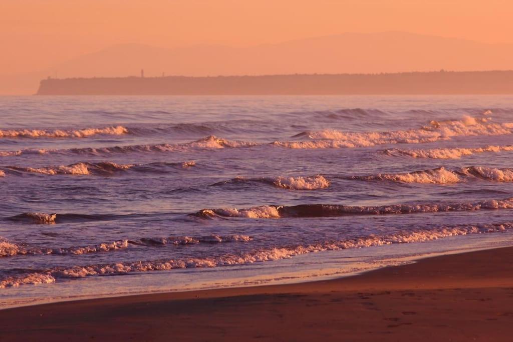 Petite maison tout confort