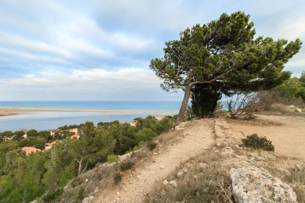 Petite maison tout confort