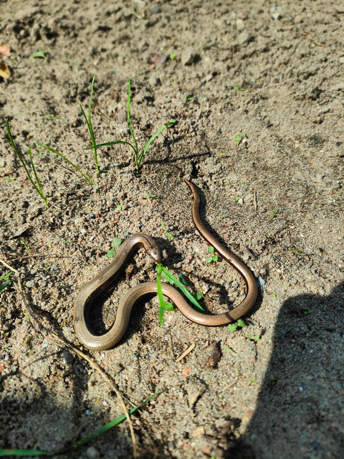 Apartament Baranek Nad Jeziorem