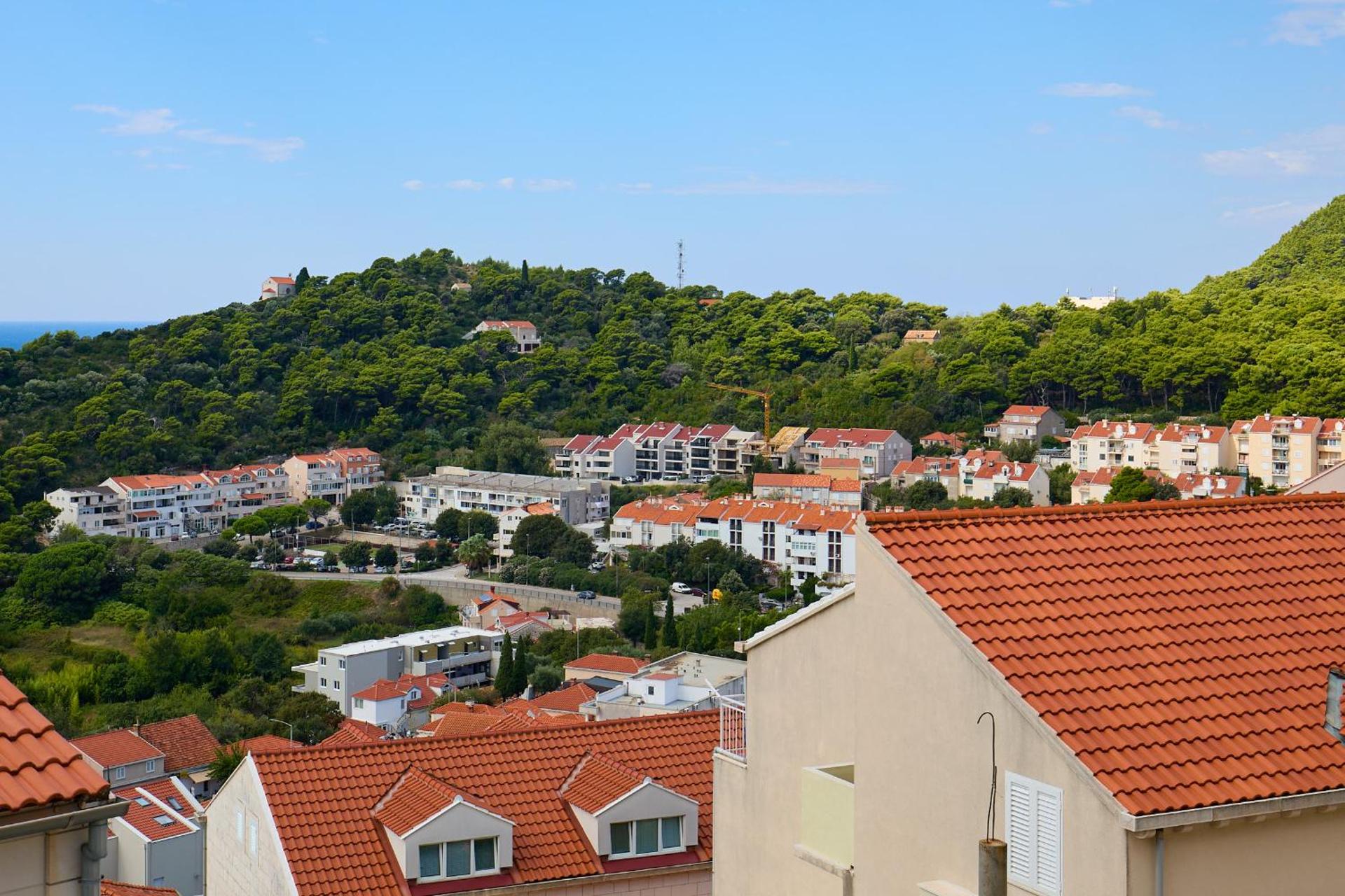 View (from property/room)