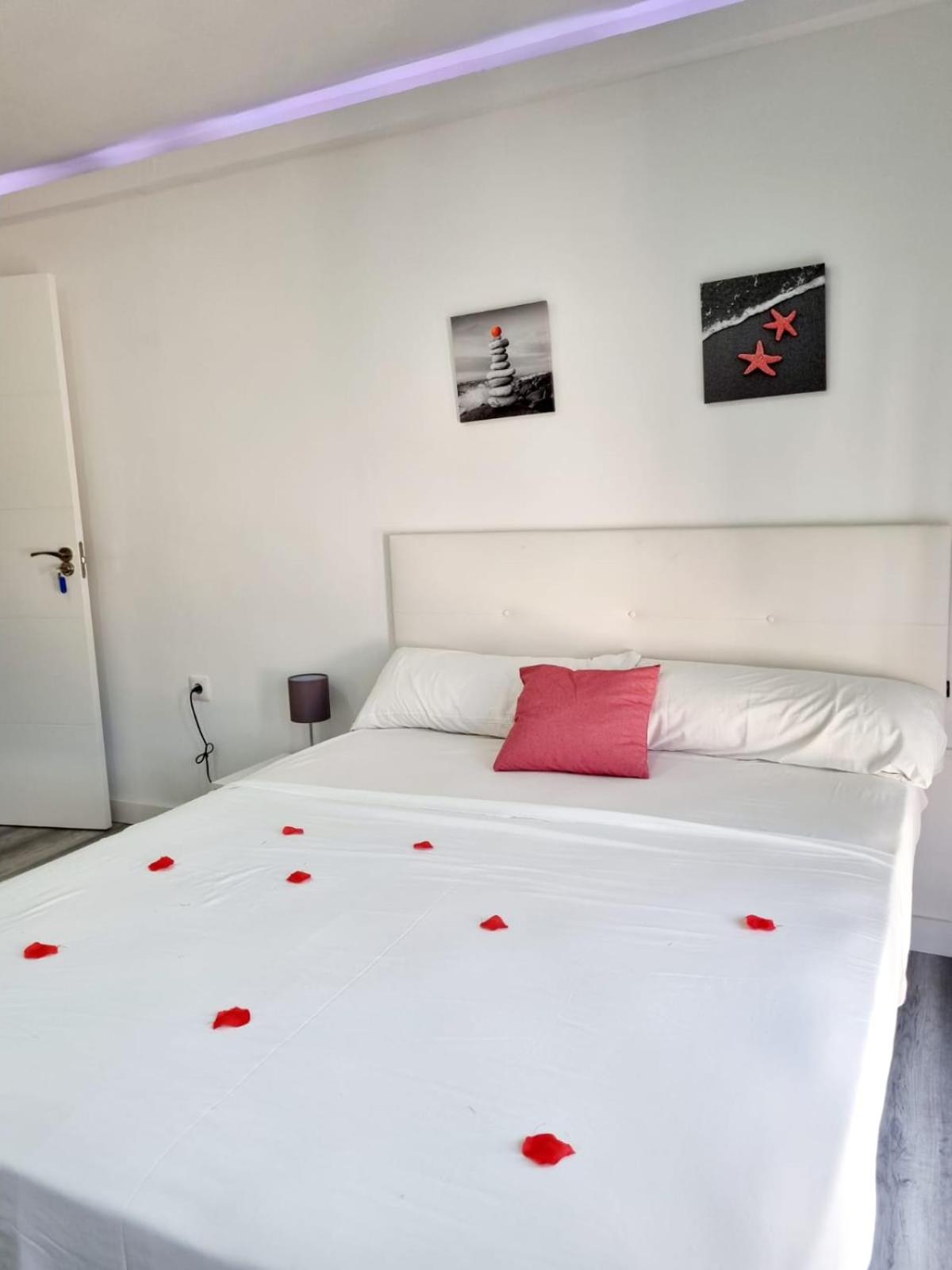 Apartamentos T5 Valencia