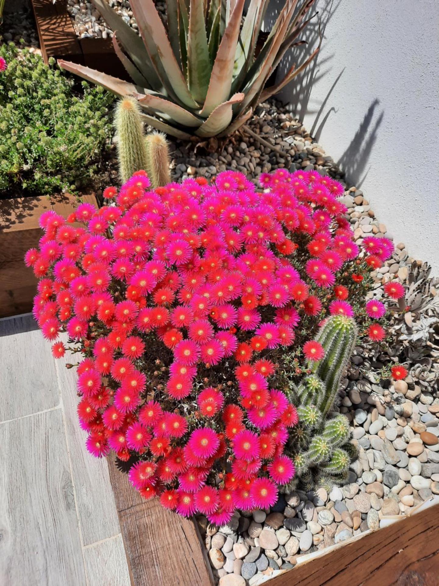 Studio moderne proche centre village