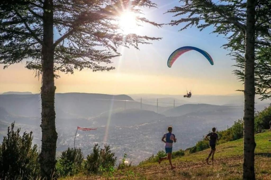 T2 lumineux hypercentre