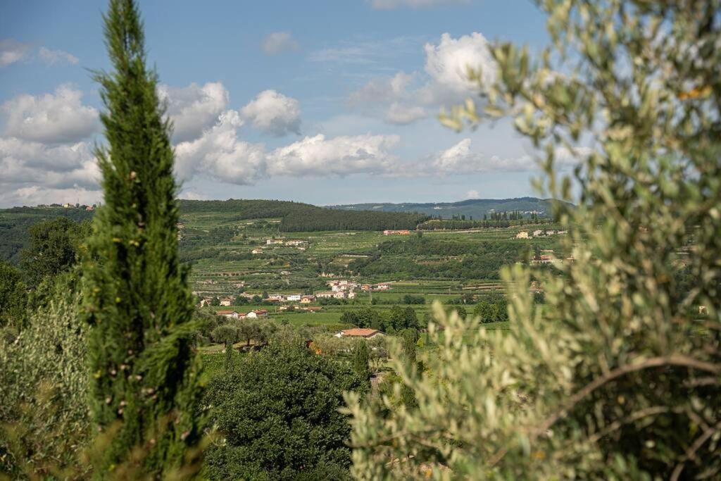 Monolocale Moderno Valpolicella Verona - Agni