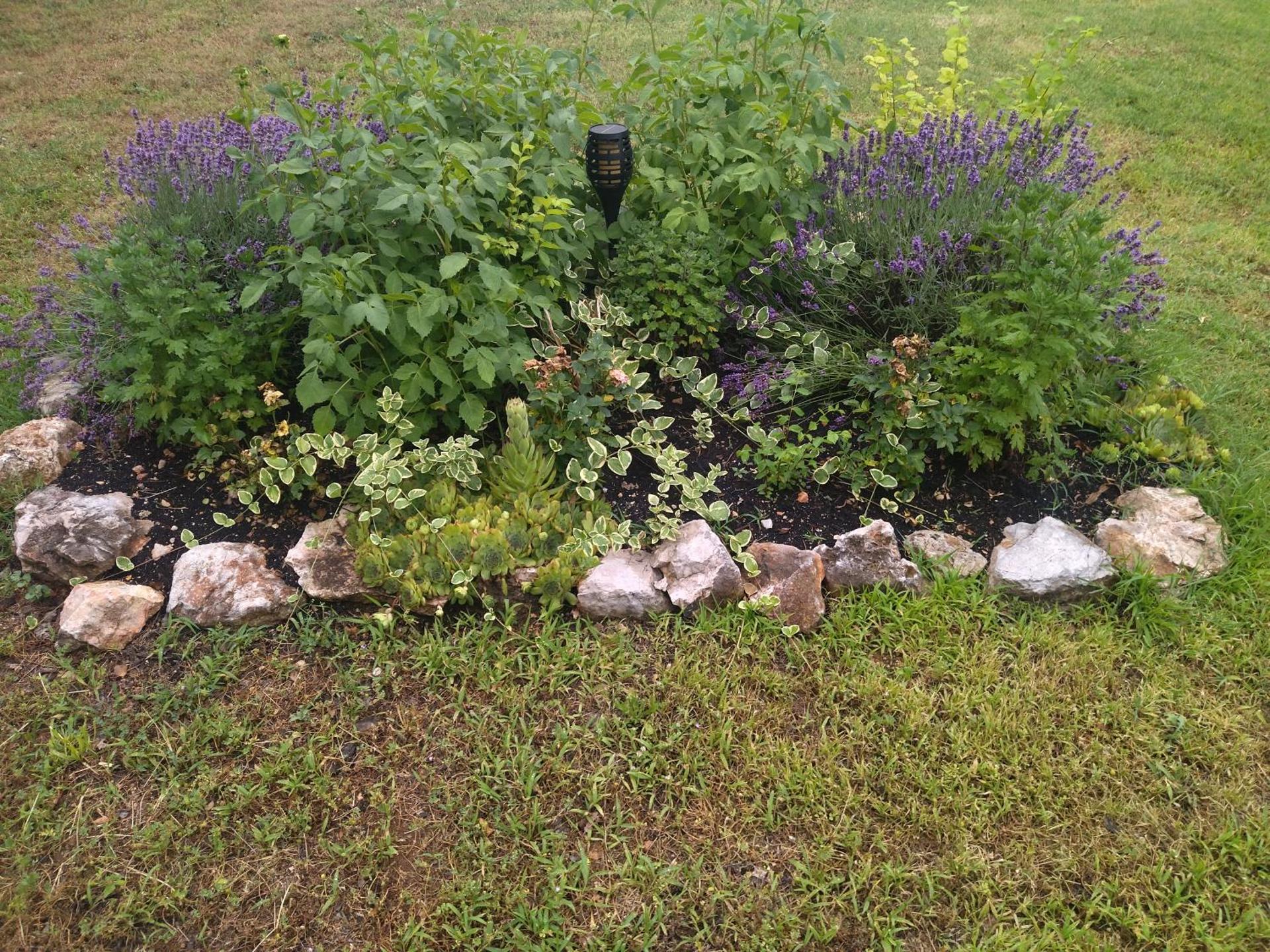 Kuća za odmor ARIJA sa velikim vanjskim bazenom