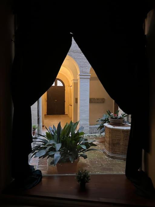 Raphael Temporary Home in Urbino