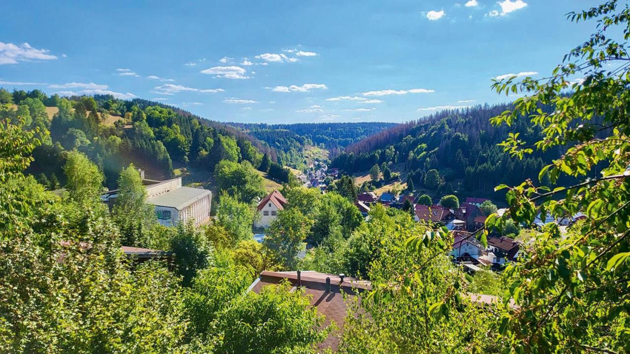 Werrapark Resort Ferienhäuser Am Sommerberg Premium