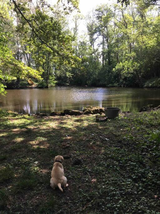 Charmant havre de paix à la campagne