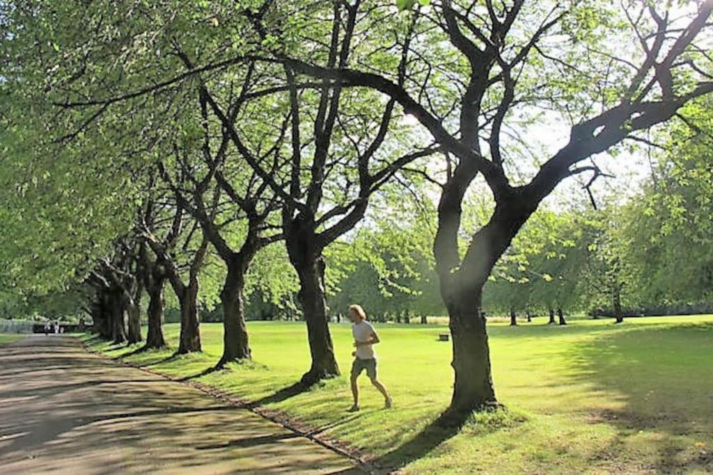 *F2GH* for your most relaxed & Cosy stay + Free Parking + Free Fast WiFi *