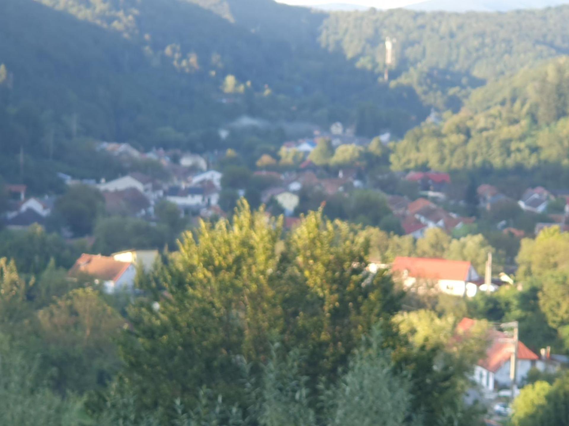 Vila AliBi Valiug - 200m from Ponton Casa Baraj