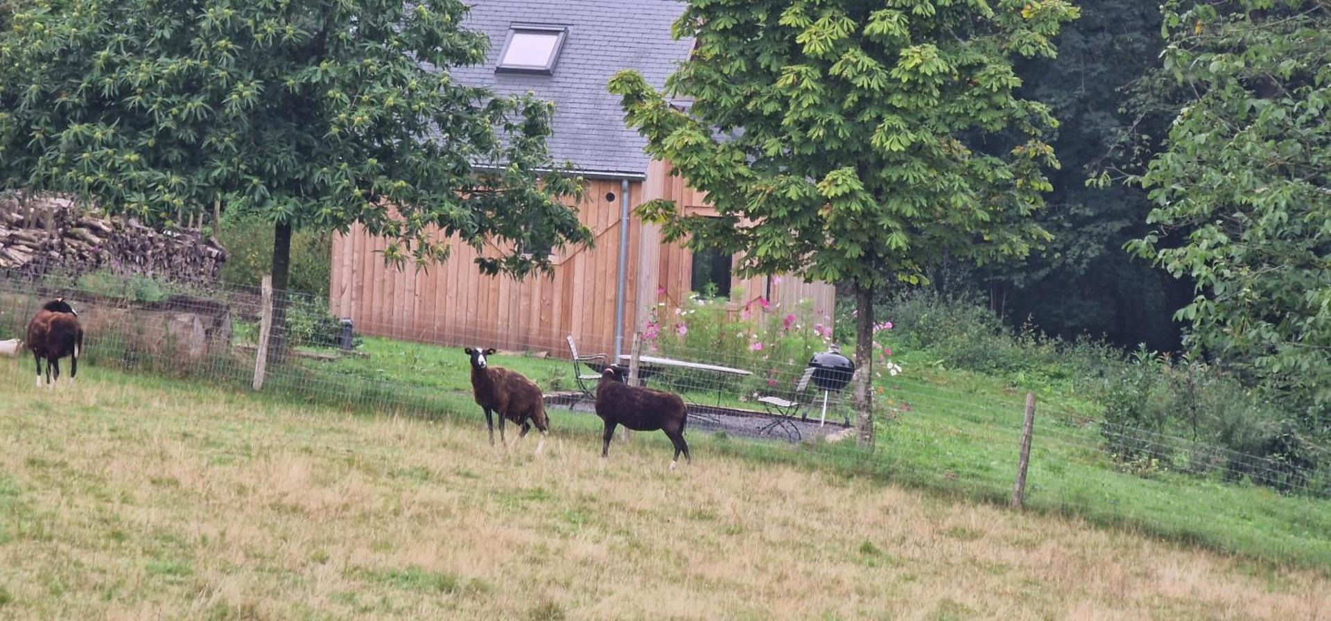 Les cabanes des Pierreux
